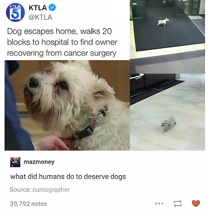 They're Absolutely Fantastic!