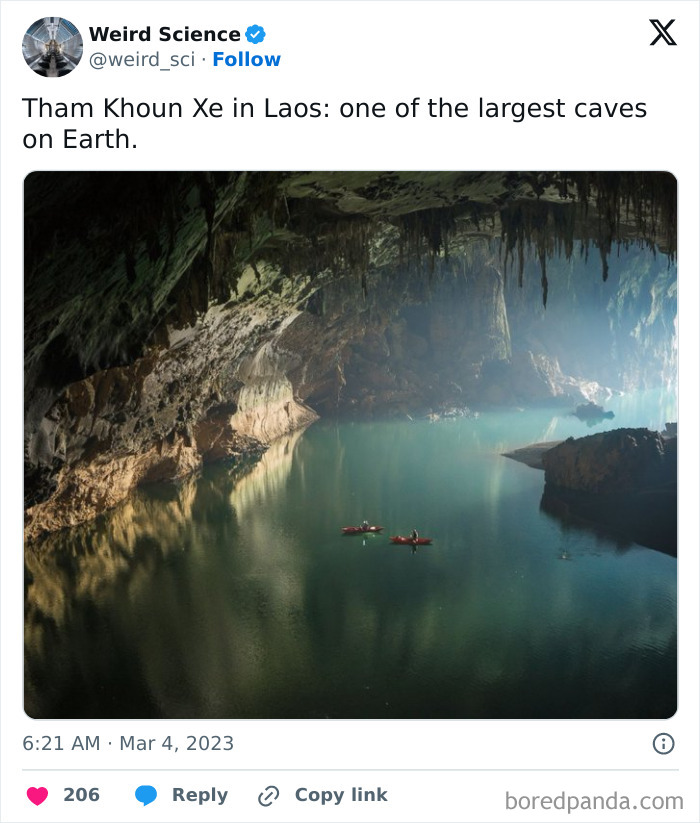 Weird-Science-Tweets