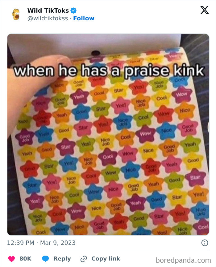 Weird-Wild-Tiktok-Screenshots