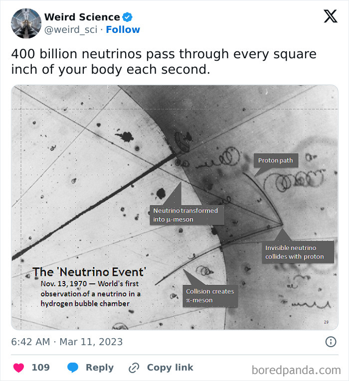 Weird-Science-Tweets