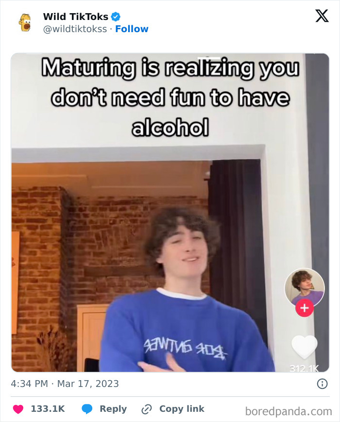 Weird-Wild-Tiktok-Screenshots