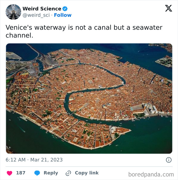 Weird-Science-Tweets