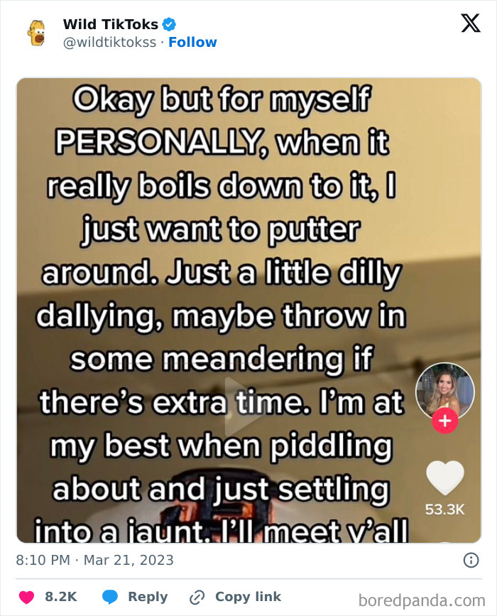 Weird-Wild-Tiktok-Screenshots