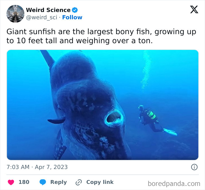 Weird-Science-Tweets