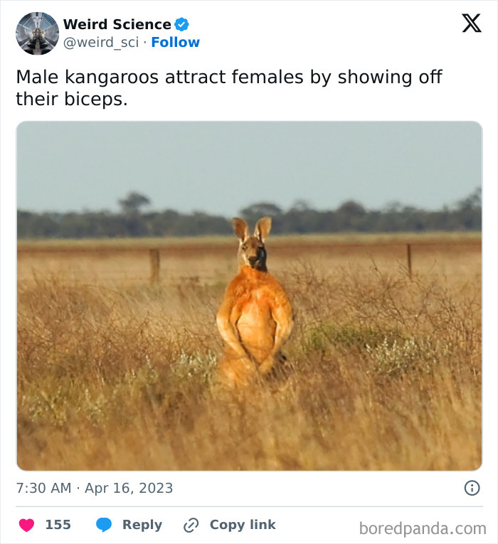 Weird-Science-Tweets