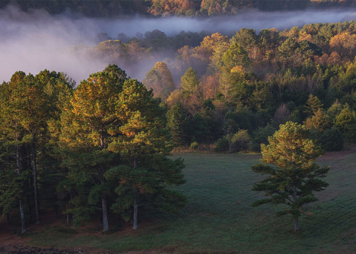 “Welcome To Pennsylvania, Here’s Your Flat Tire”: 50 Iconic Things That Define US States