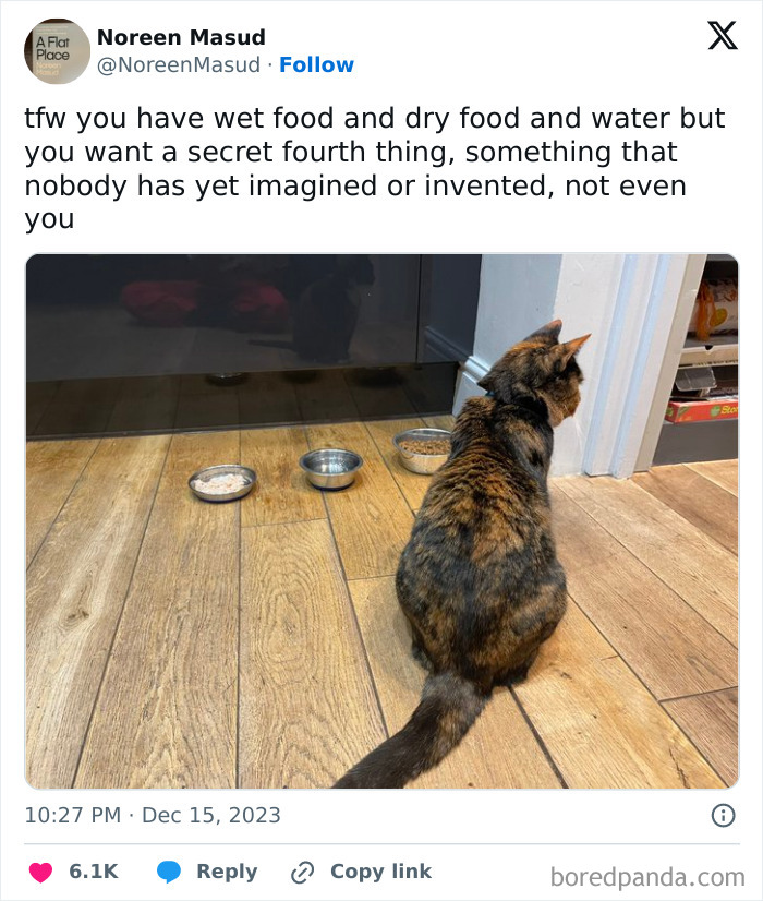 Relatable (Friend Posted On Twitter)