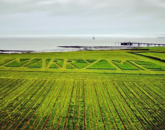 Girlfriend Can&rsquo;t Hold Her Tears Back After Farmer Carves &ldquo;Marry Me&rdquo; Into His Field At Golden Hour