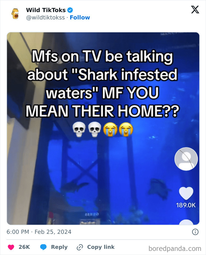 Weird-Wild-Tiktok-Screenshots