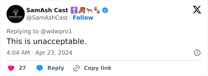 Disney World&rsquo;s Casting Choice Ruins Conservative Family&rsquo;s Outing, Becomes A Viral Gag