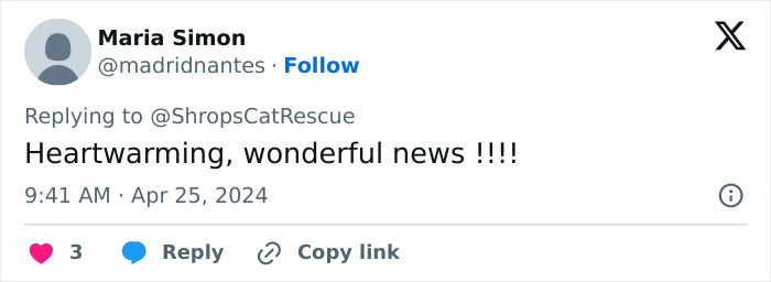 This Retirement Cat Village Has 17 Cats That Live Out Their Days In Mini Cottages