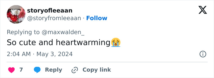 Primate Uses Plant To Treat Wound In Surprising Case Of Animal Self-Medication Primate Uses Plant To Treat Wound In Surprising Case Of Animal Self-Medication