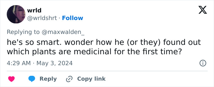 Primate Uses Plant To Treat Wound In Surprising Case Of Animal Self-Medication Primate Uses Plant To Treat Wound In Surprising Case Of Animal Self-Medication