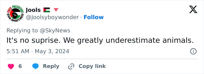 Primate Uses Plant To Treat Wound In Surprising Case Of Animal Self-Medication Primate Uses Plant To Treat Wound In Surprising Case Of Animal Self-Medication