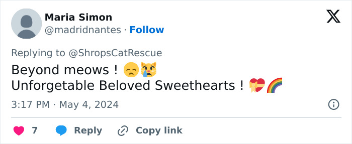 This Retirement Cat Village Has 17 Cats That Live Out Their Days In Mini Cottages