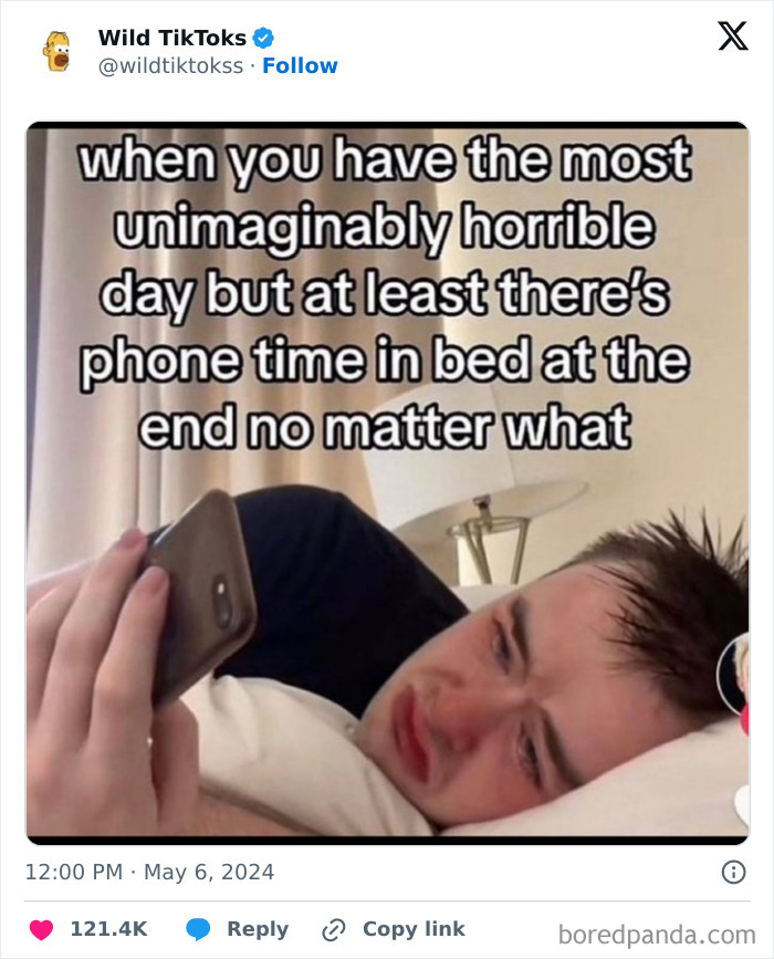 Weird-Wild-Tiktok-Screenshots