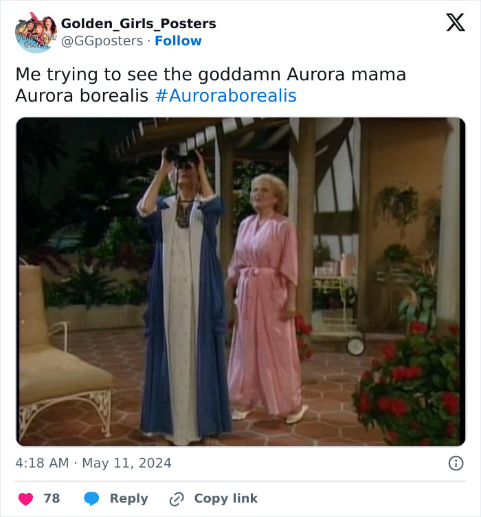 Northern-Lights-Jokes-Memes