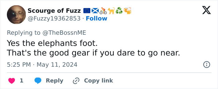 Scientists Reveal World’s Most Dangerous Object: 300 Seconds With “Elephant’s Foot” Was Fatal Scientists Reveal World’s Most Dangerous Object: 300 Seconds With “Elephant’s Foot” Was Fatal