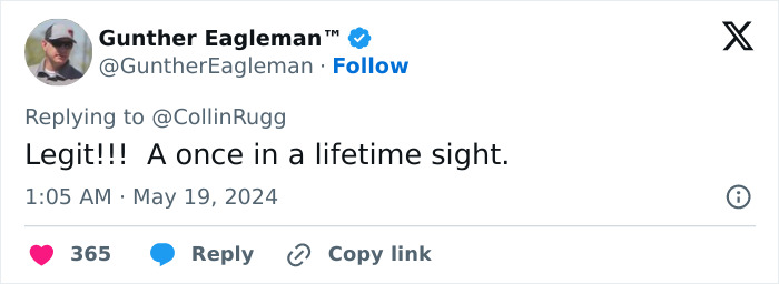 This Girl Accidentally Captured The Coolest Video So Far: A Stunning Piece Of A Comet Over Portugal