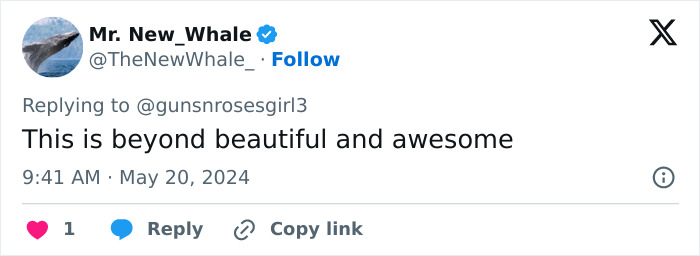 Comet Fragment Explodes, Illuminating Sky With Blue Fireball Over Spain And Portugal Comet Fragment Explodes, Illuminating Sky With Blue Fireball Over Spain And Portugal