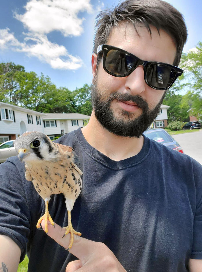 Man wearing sunglasses holding a small falcon on his finger during a heartwarming wildlife encounter outdoors.