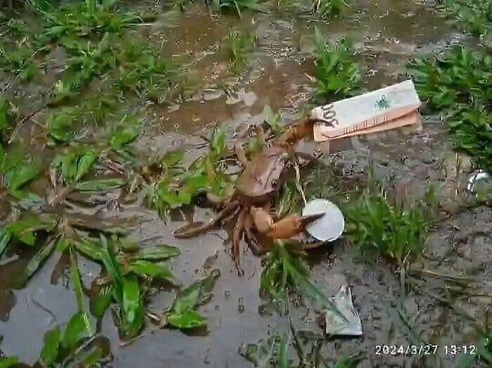 Funny-Weird-Hard-Images