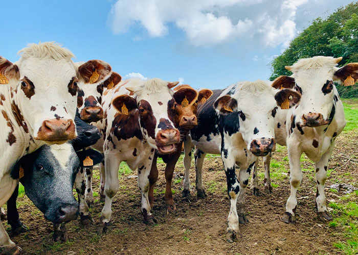 21 Profesiones complicadas o difíciles que realmente existen