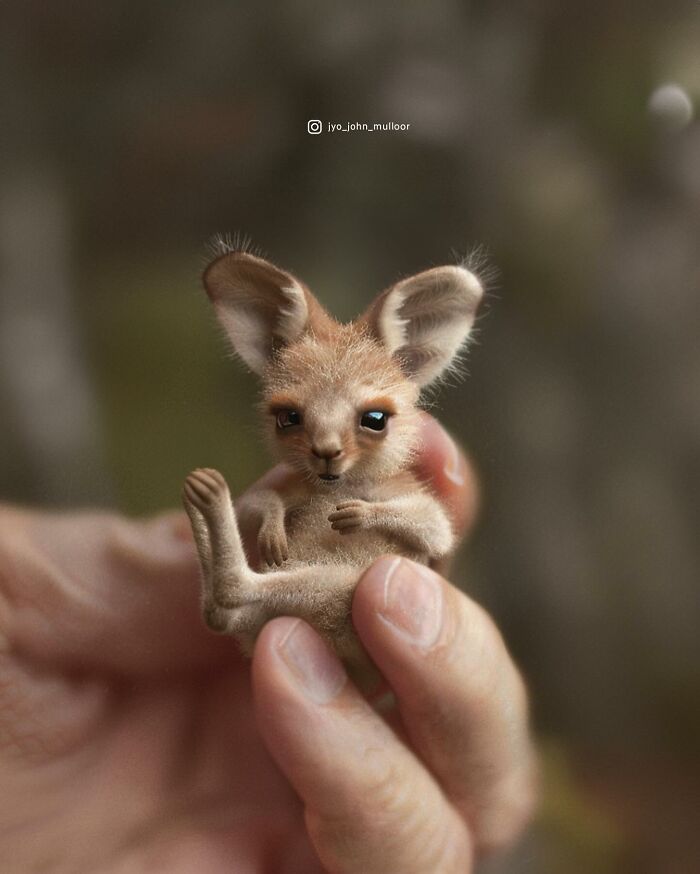 20 New Images By Jyo John Mulloor Featuring Tiny Versions Of Wild Animals And They Might Melt Your Heart