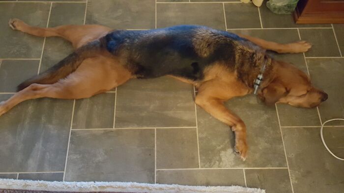 Sophie Taking It Easy After A Trying Day Sleeping