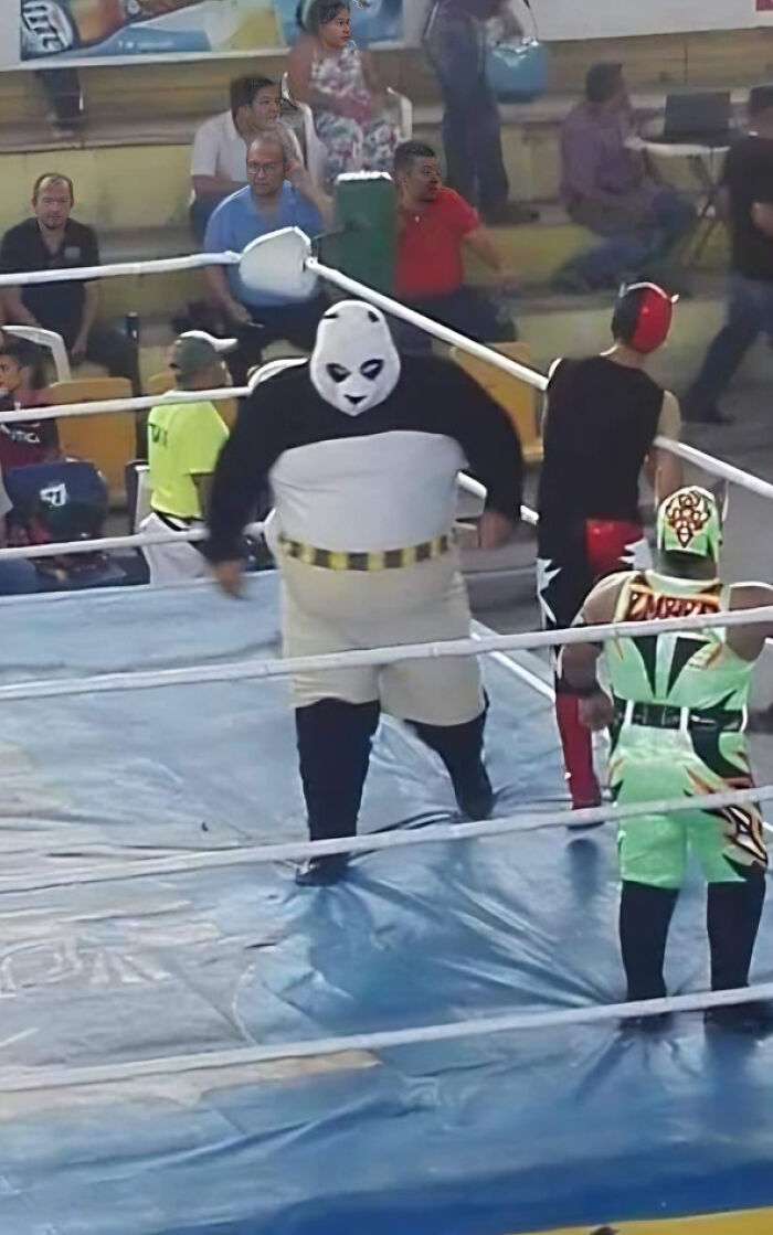 Funny-Weird-Hard-Images