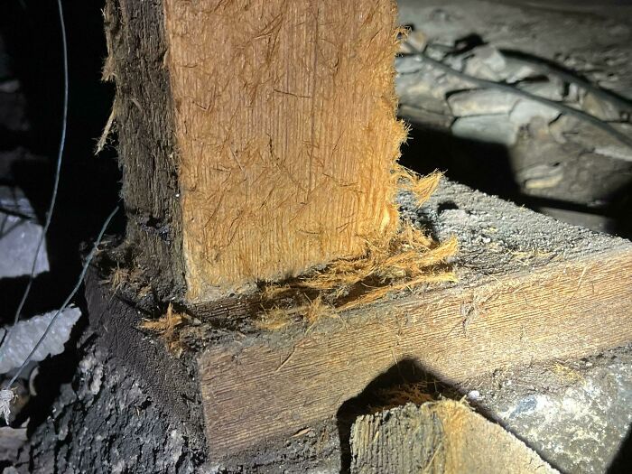 Dangerous-Structure-Fails-Pics