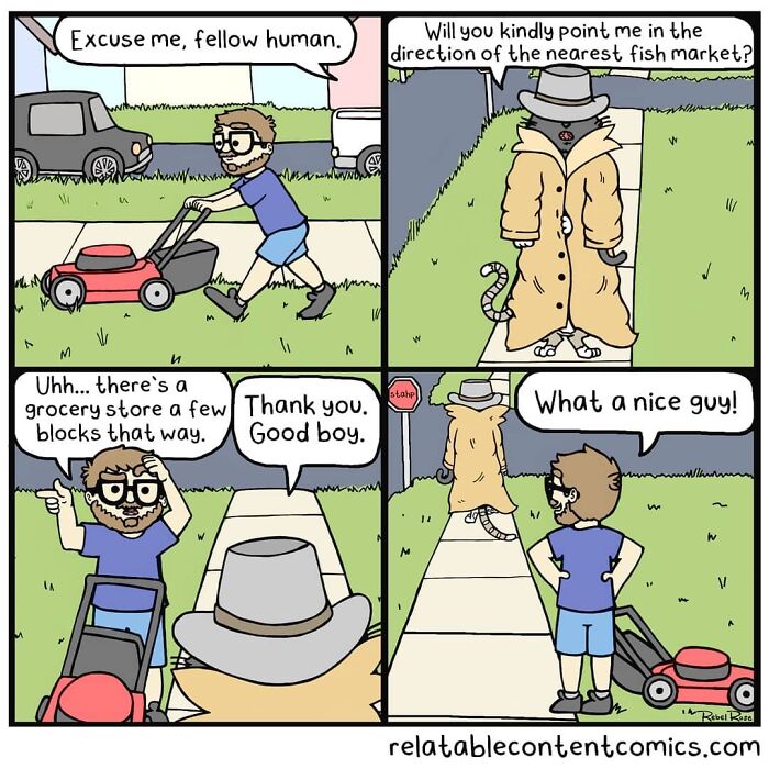 23 Adorable Comics About Life With 4 Cats And A Boyfriend, By Rebecca Rose Comics