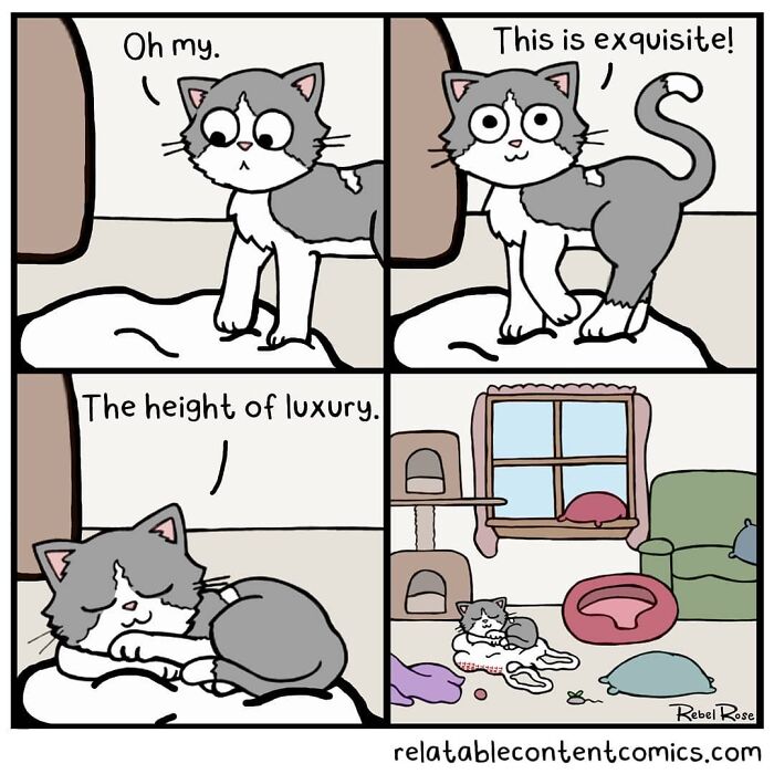 23 Adorable Comics About Life With 4 Cats And A Boyfriend, By Rebecca Rose Comics