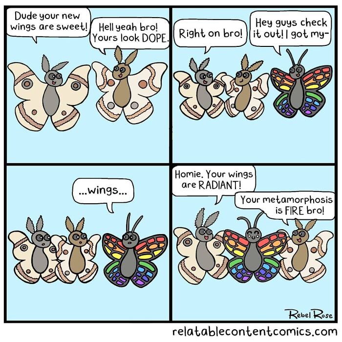 23 Adorable Comics About Life With 4 Cats And A Boyfriend, By Rebecca Rose Comics