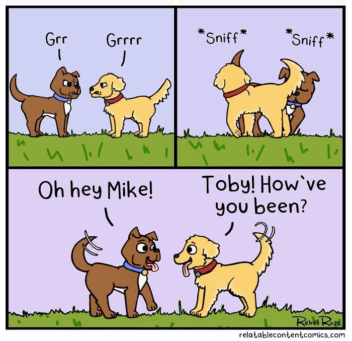 23 Adorable Comics About Life With 4 Cats And A Boyfriend, By Rebecca Rose Comics