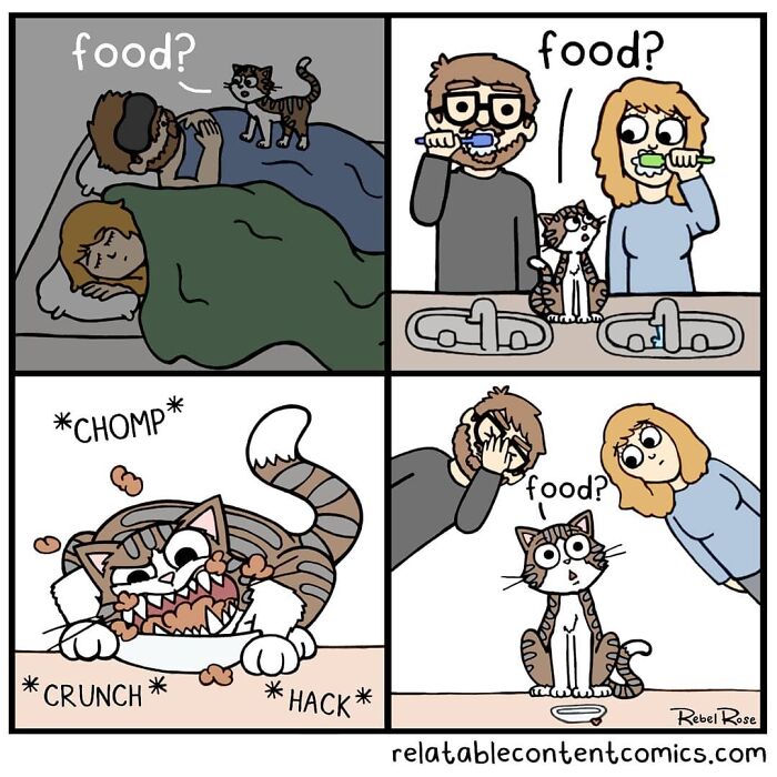 23 Adorable Comics About Life With 4 Cats And A Boyfriend, By Rebecca Rose Comics