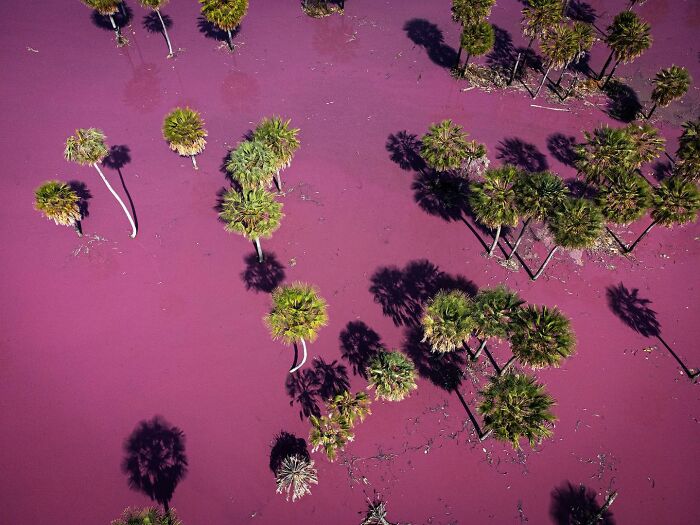 Daily Life In Paraguay Through The Lens Of Photographer Jorge Saenz (33 Pics)