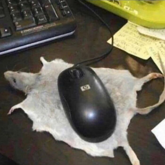 Terrible-Bad-Taxidermy-Fails