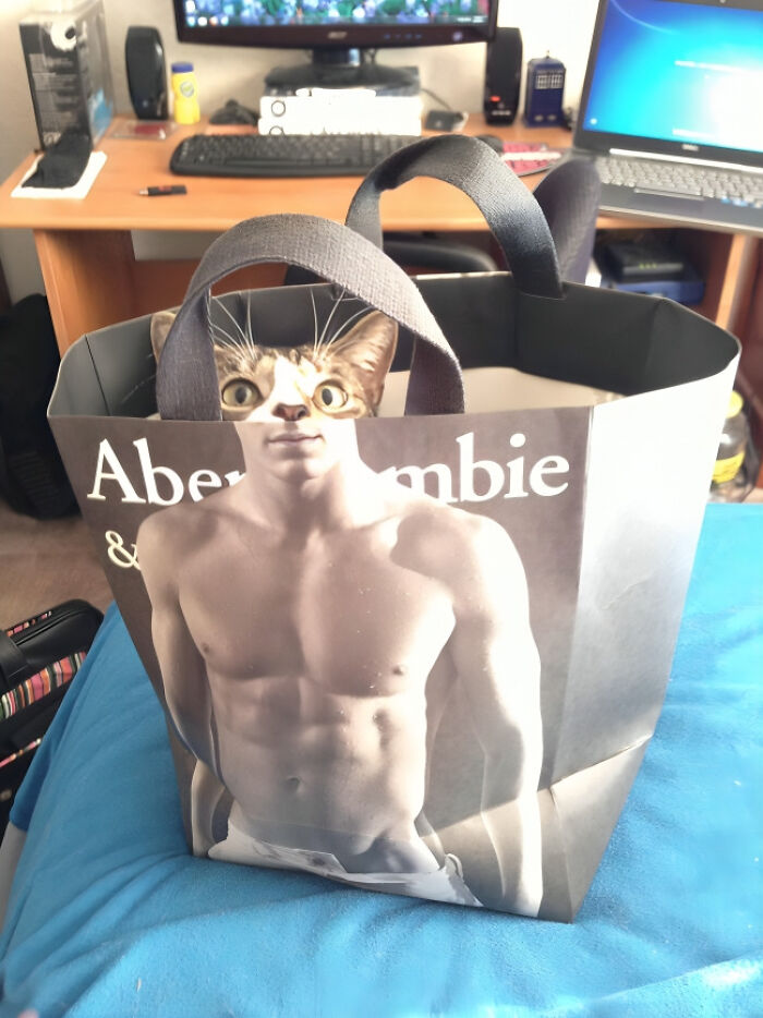 Funny-Weird-Hard-Images