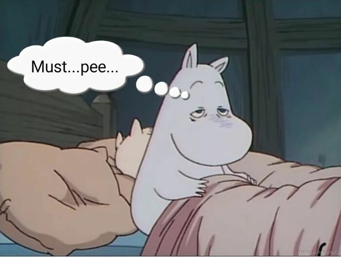 Moomin-Trolls-Memes-Magix