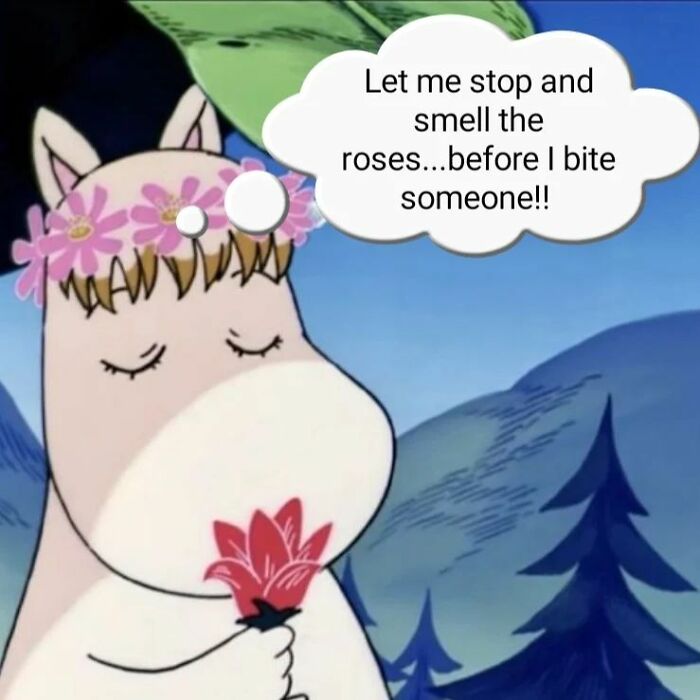 Moomin-Trolls-Memes-Magix