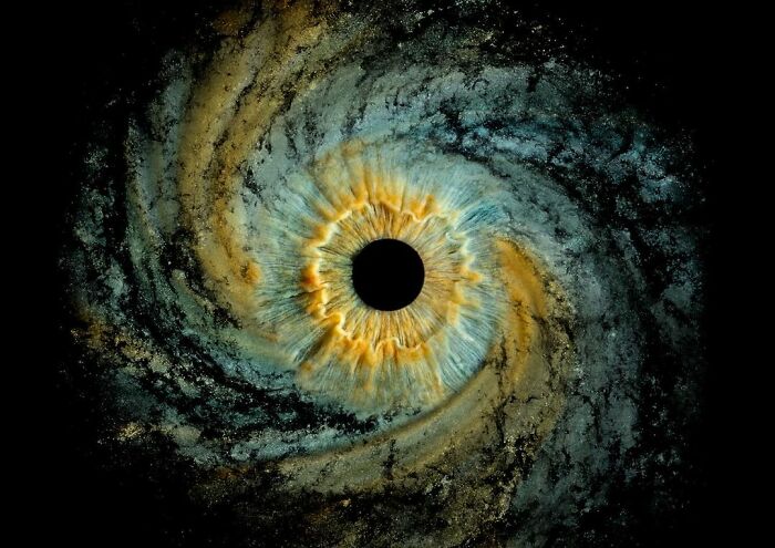 The Complex Business Of Iris Photography Is Capturing The Beauty Of The Human Eye In Immense Detail