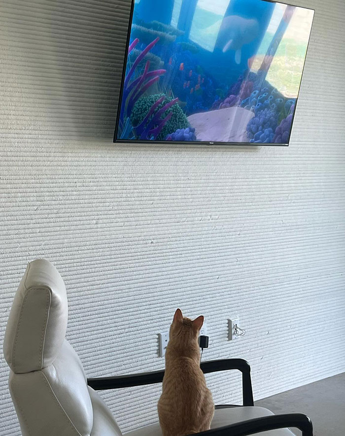 Woman Shares Pros And Cons Of Living Inside A Four-Bedroom 3D-Printed Home