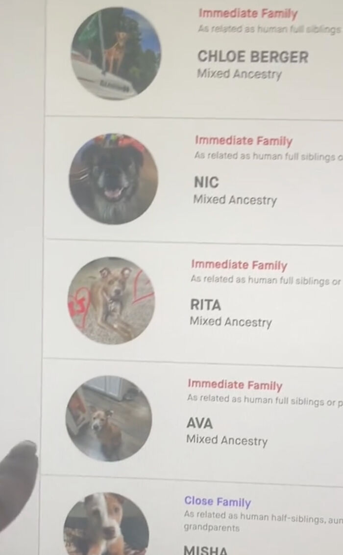 A Dog DNA Test Helps Woman Discover Her Mutt&rsquo;s Entire Family Tree And She&rsquo;s In Tears