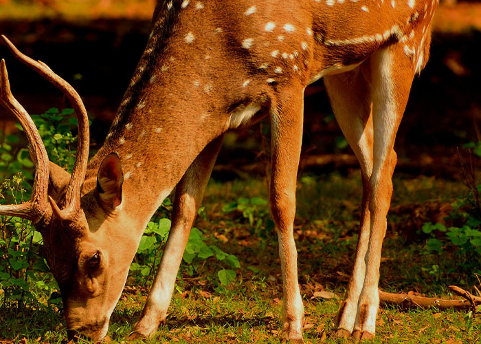 40 Of The Most Embarrassing Things Found Whilst Helping Friends Or Family Move