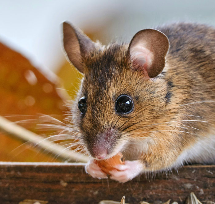 “Obliterating Everything”: 30 Of The Most Monumental Mistakes In History