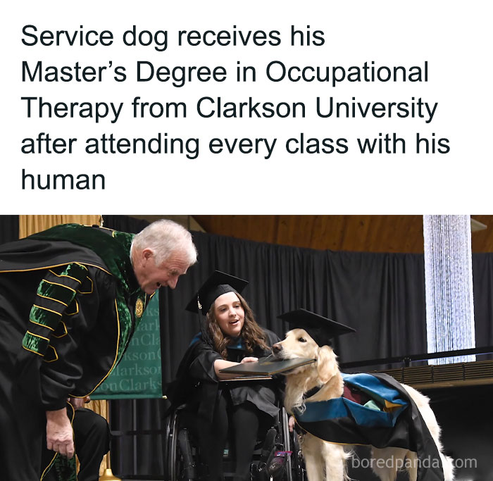 He Did Well On Written Portion, But Not In Orals