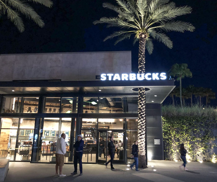 This Starbucks Has A Hole For A Palm Tree