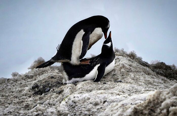 Daily Life In Paraguay Through The Lens Of Photographer Jorge Saenz (33 Pics)