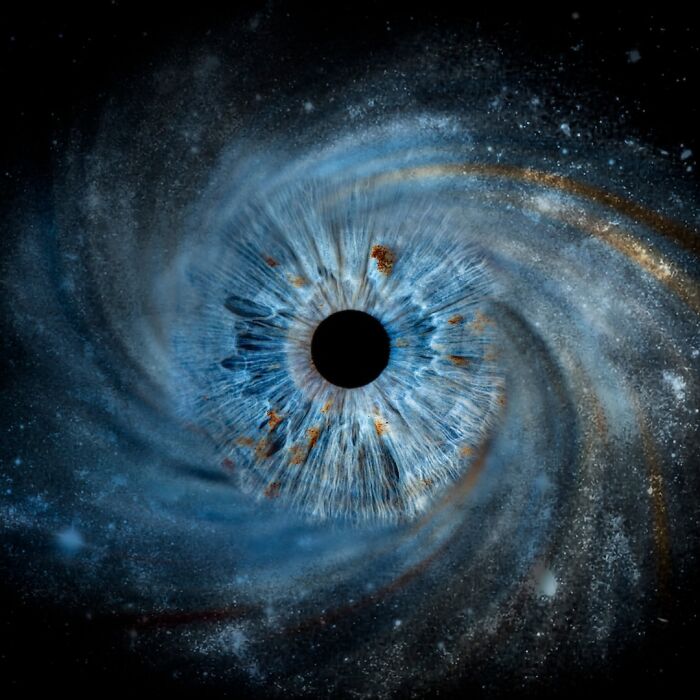 The Complex Business Of Iris Photography Is Capturing The Beauty Of The Human Eye In Immense Detail